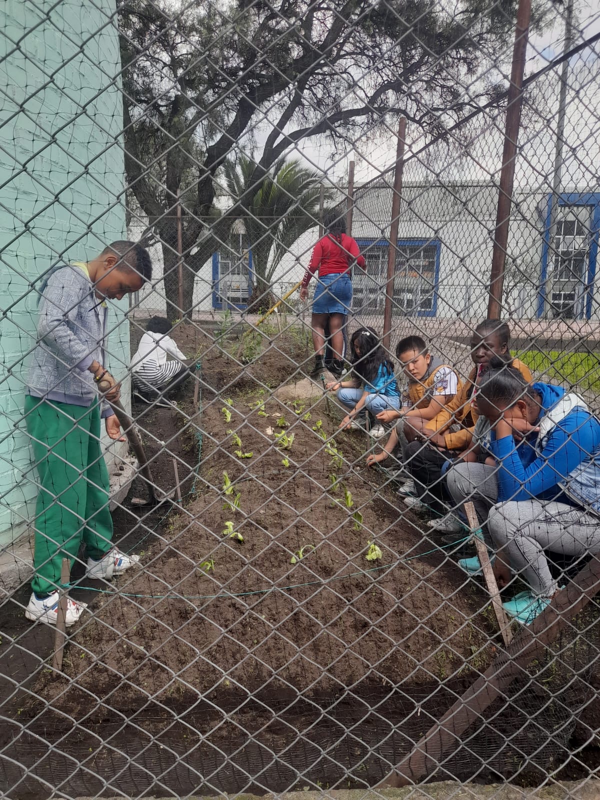 Momento de la galería 7