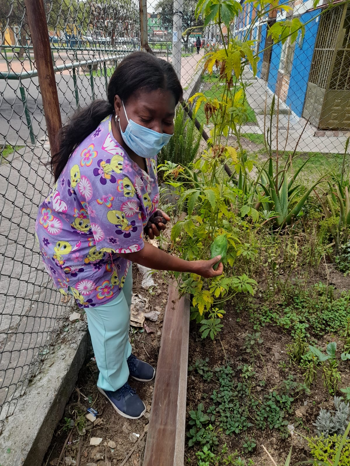 Seguridad Alimentaria