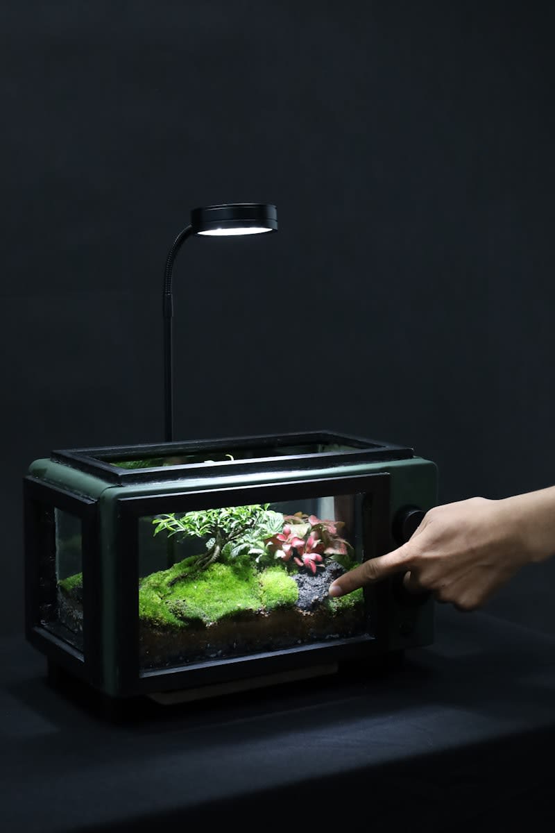 Mini Portable Projector