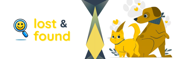 Lost & Found Banner