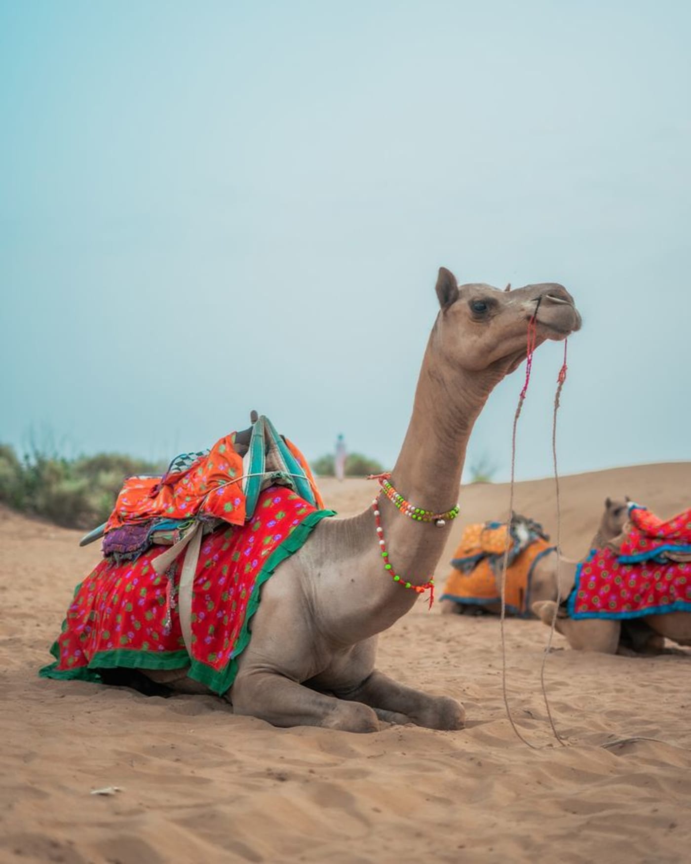 7d9e0346b0e4b78a5d118eb5477fb677