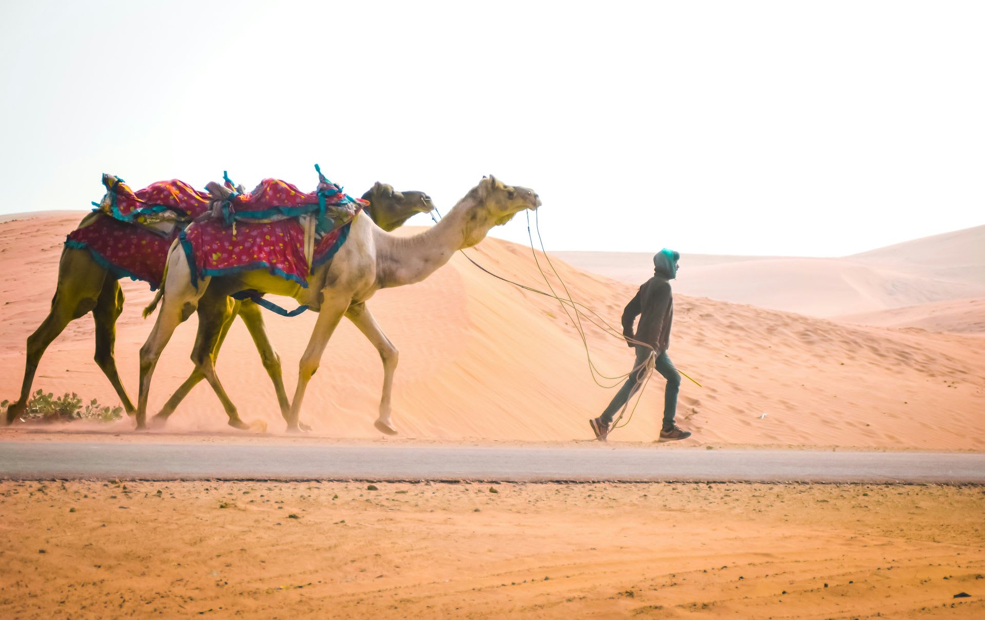 camel safari in jaisalmer