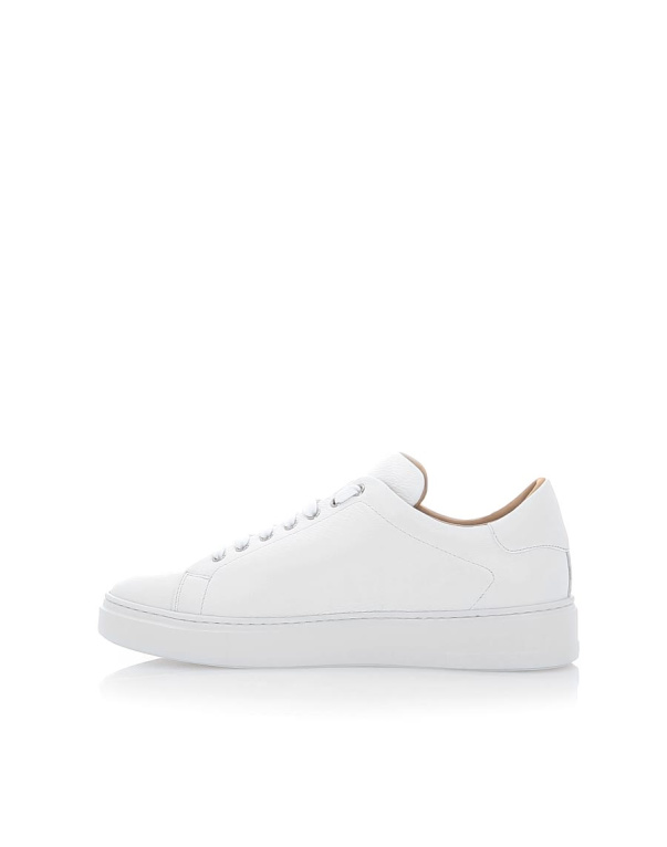 Alex costa white sneakers store