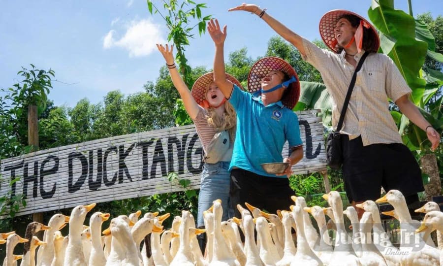 The Duck Tang farm mang lại nhiều trải nghiệm hấp dẫn, ấn tượng cho du khách - Ảnh: NVCC