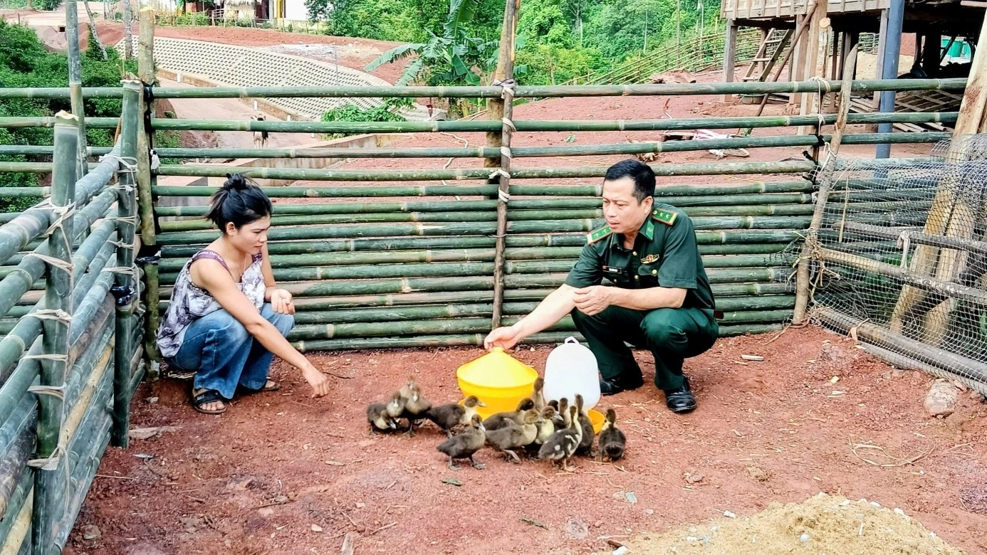 Đồn biên phòng Cồn Roàng hướng dẫn kỹ thuật chăn nuôi ngan cho hộ nghèo