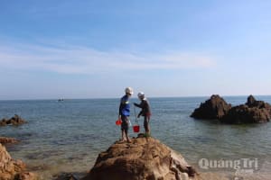 Kiểm tra, làm rõ nguyên nhân cá chết bất thường ven biển Quảng Trị