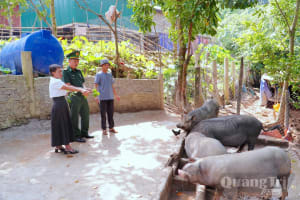 Nỗ lực thoát nghèo