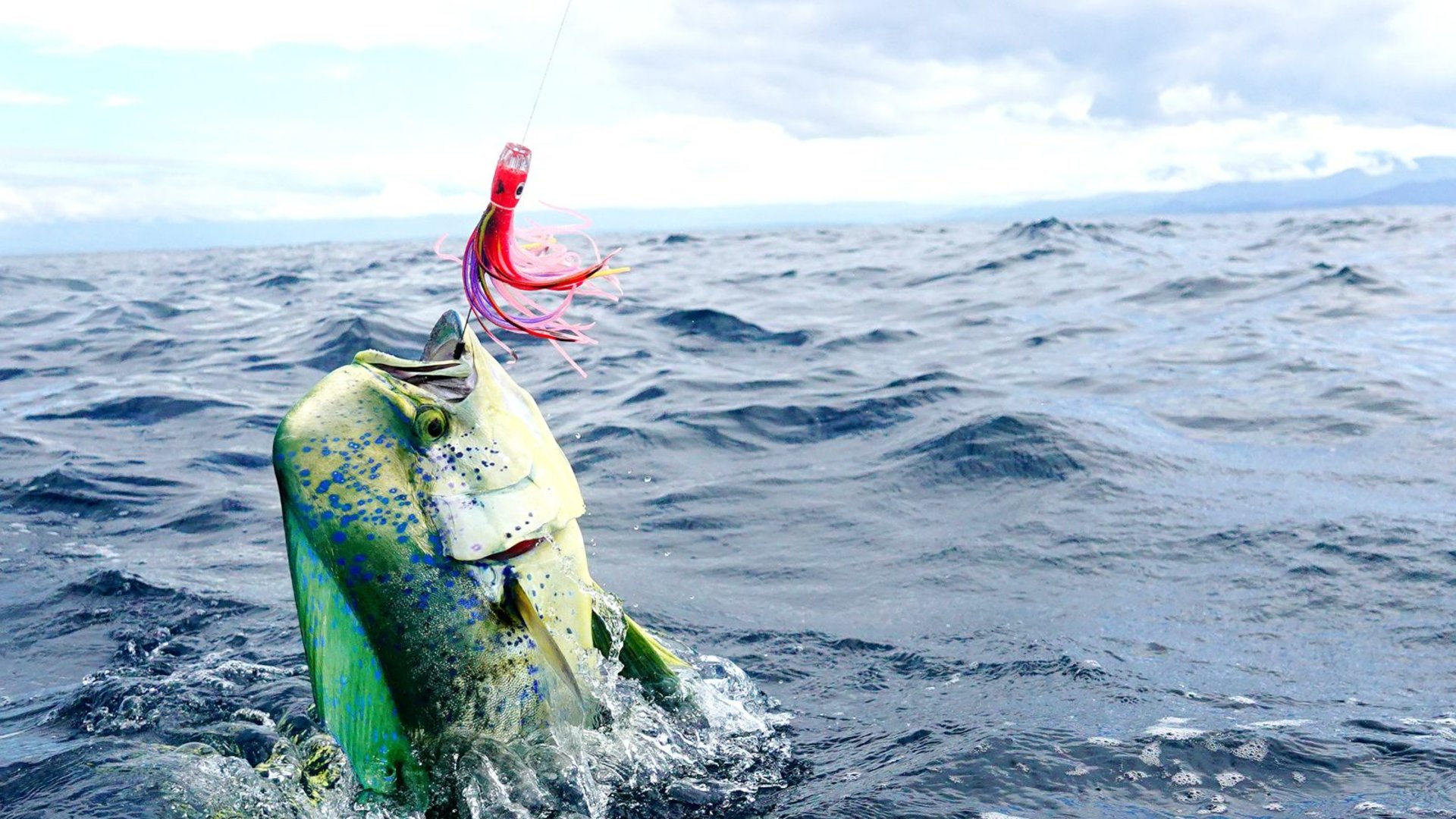 Half Day Coastal Fishing | Mami Wata Tours
