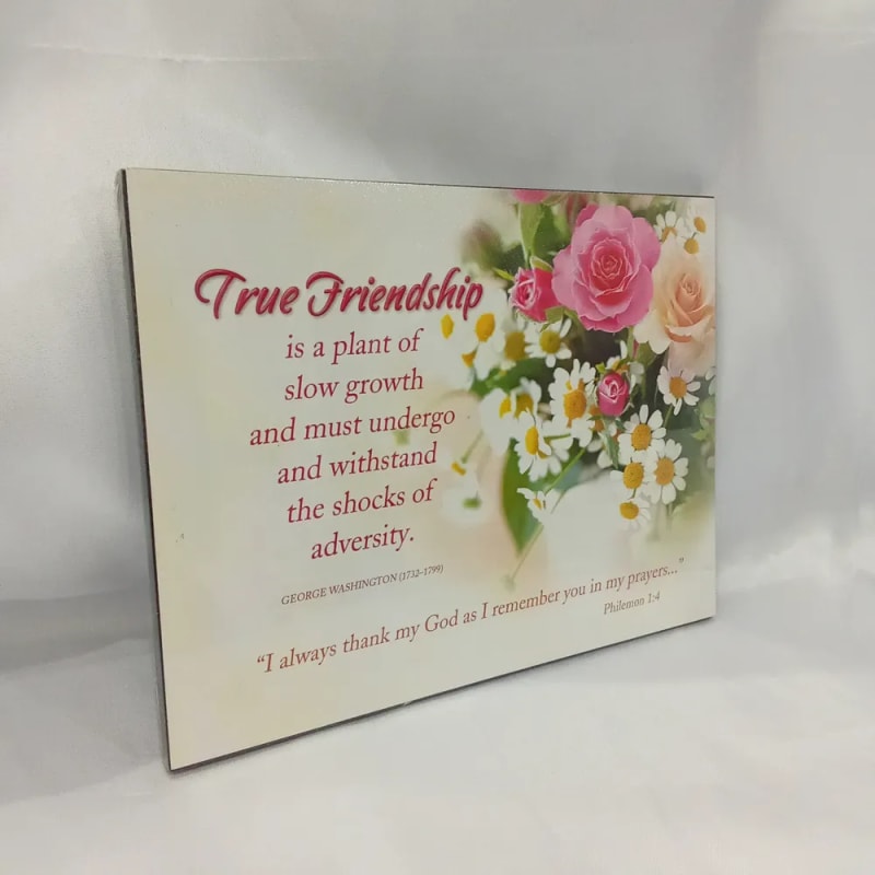  Hiasan Dinding Radiance True Friendship  GS003DD