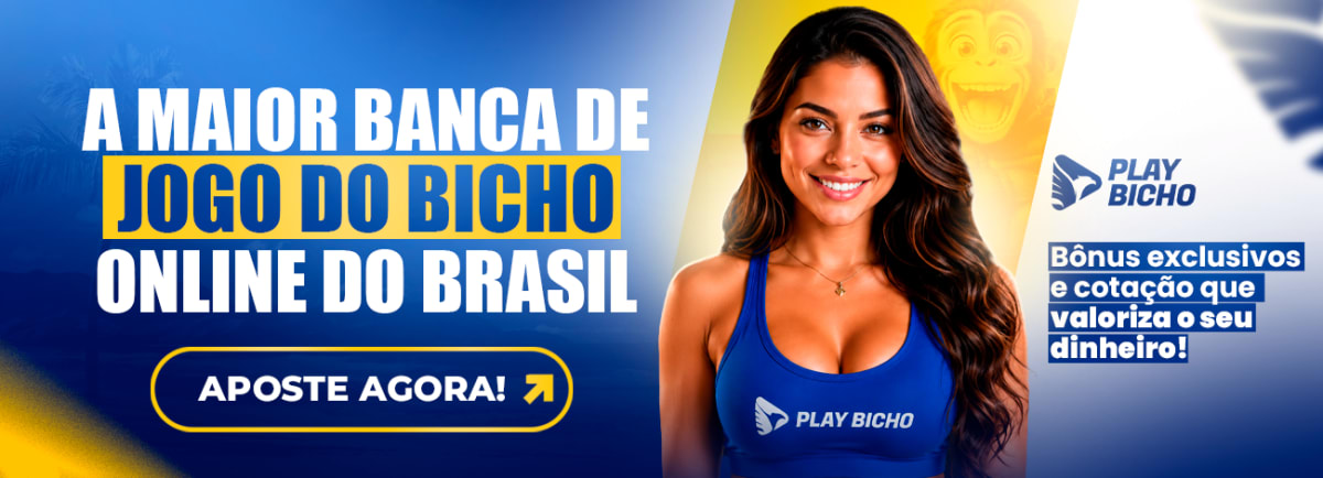 Branding Play Bicho + Novo Fluxo - Julho