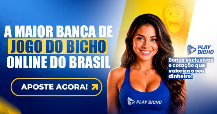 Branding Play Bicho + Novo Fluxo - Julho