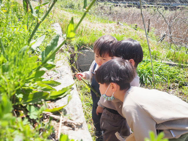 江田島の自然