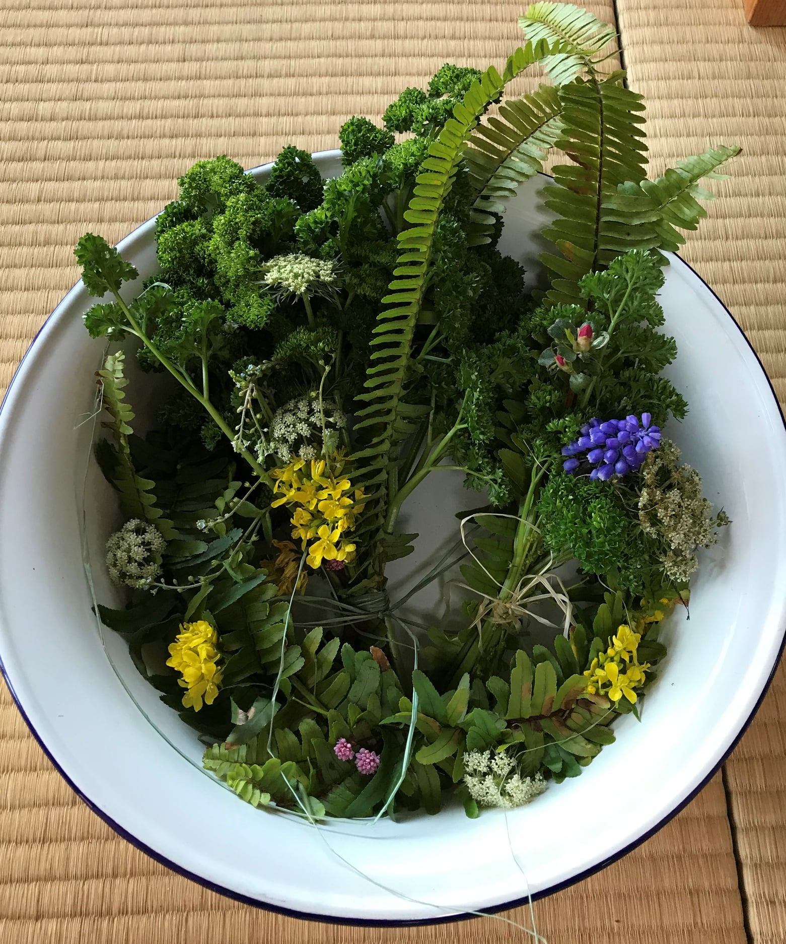 野草の会