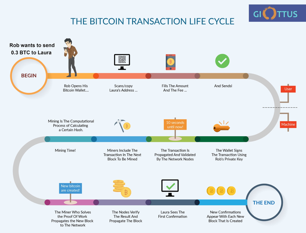 transaction cycle of blockchain