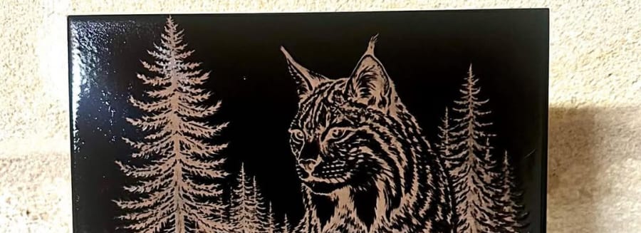 Lynx gravé sur céramique noire — Créa Laser Bois