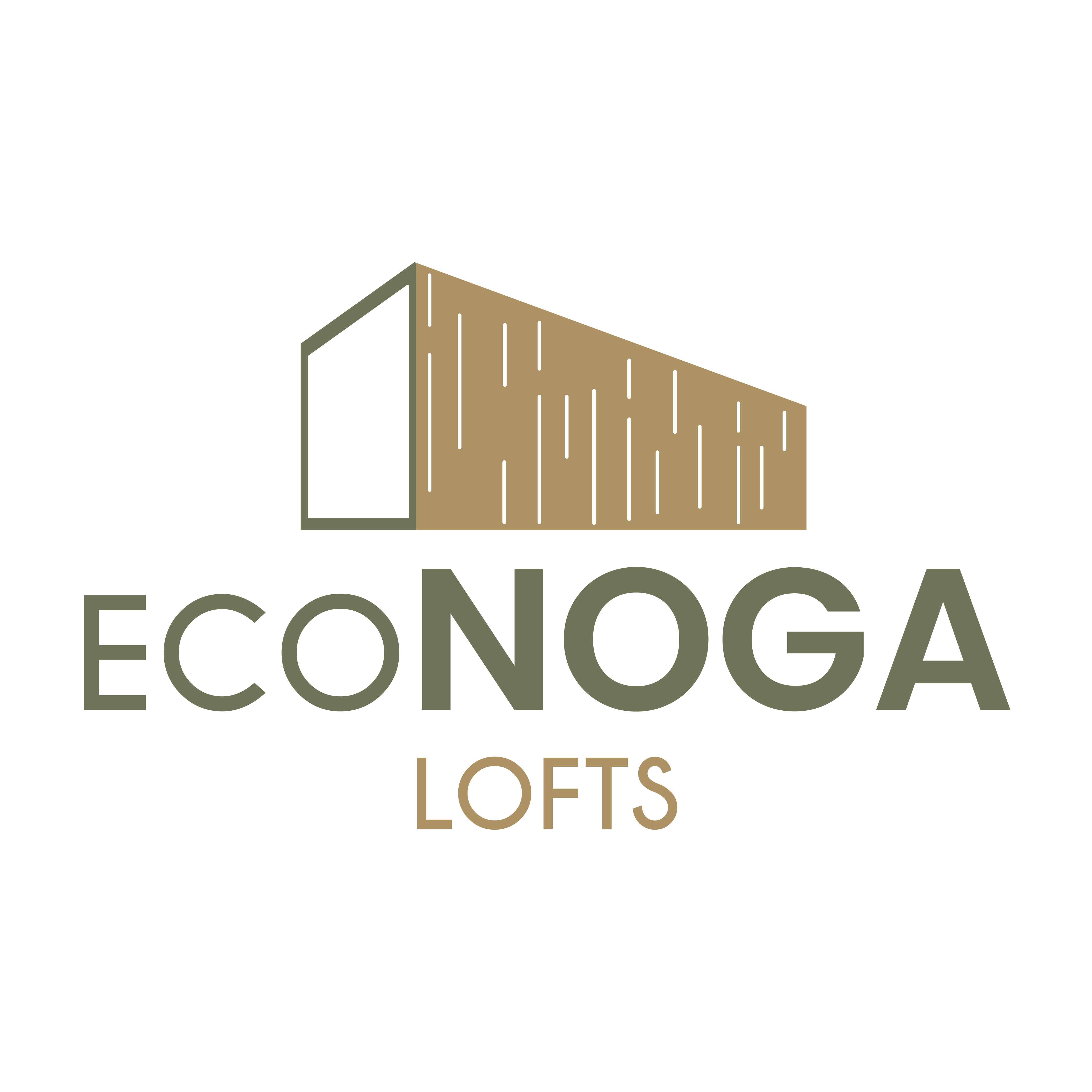 Econoga