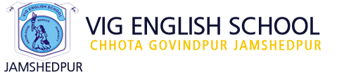 VIG English School