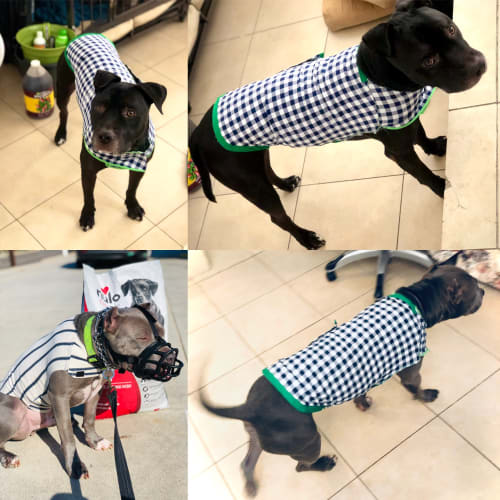 Leonard & Cash Wear Dog Denimi