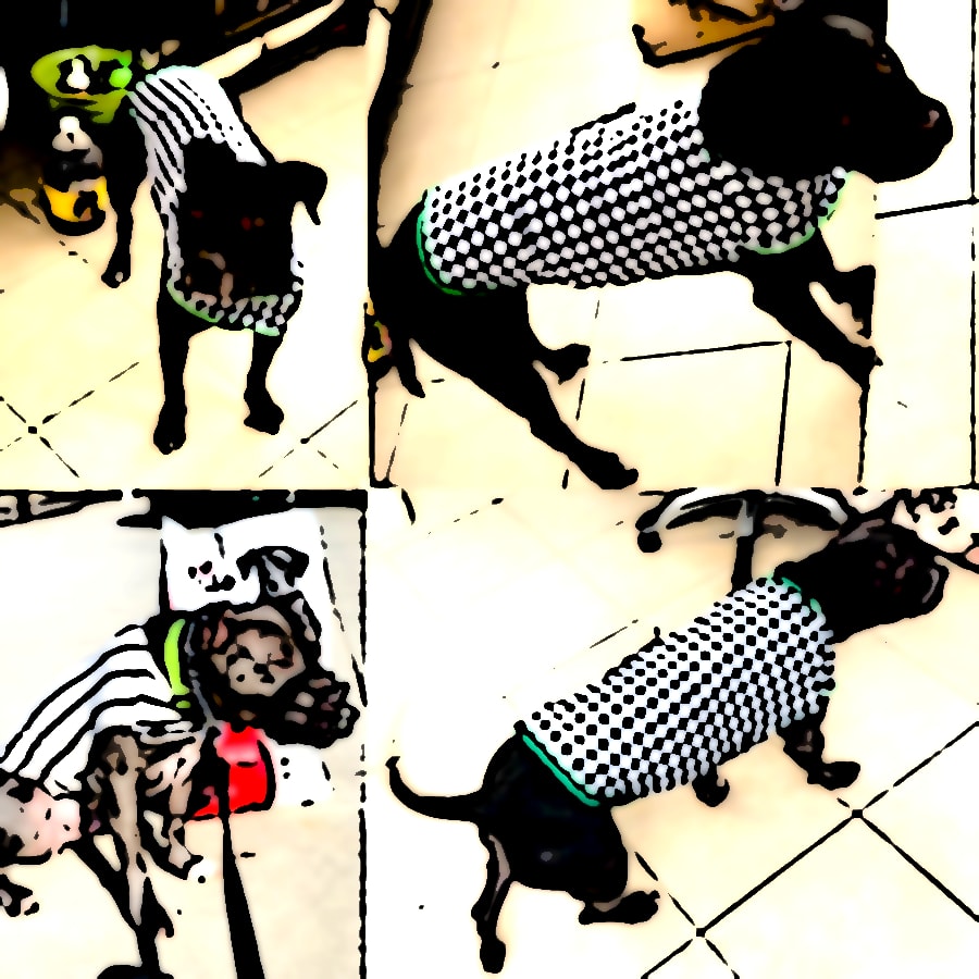 Leonard & Cash Cartoonified