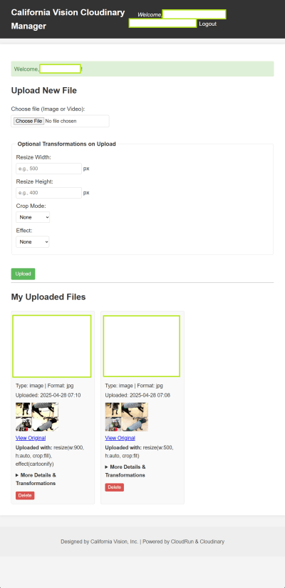 Cloud Vision Manager Dashboard UI