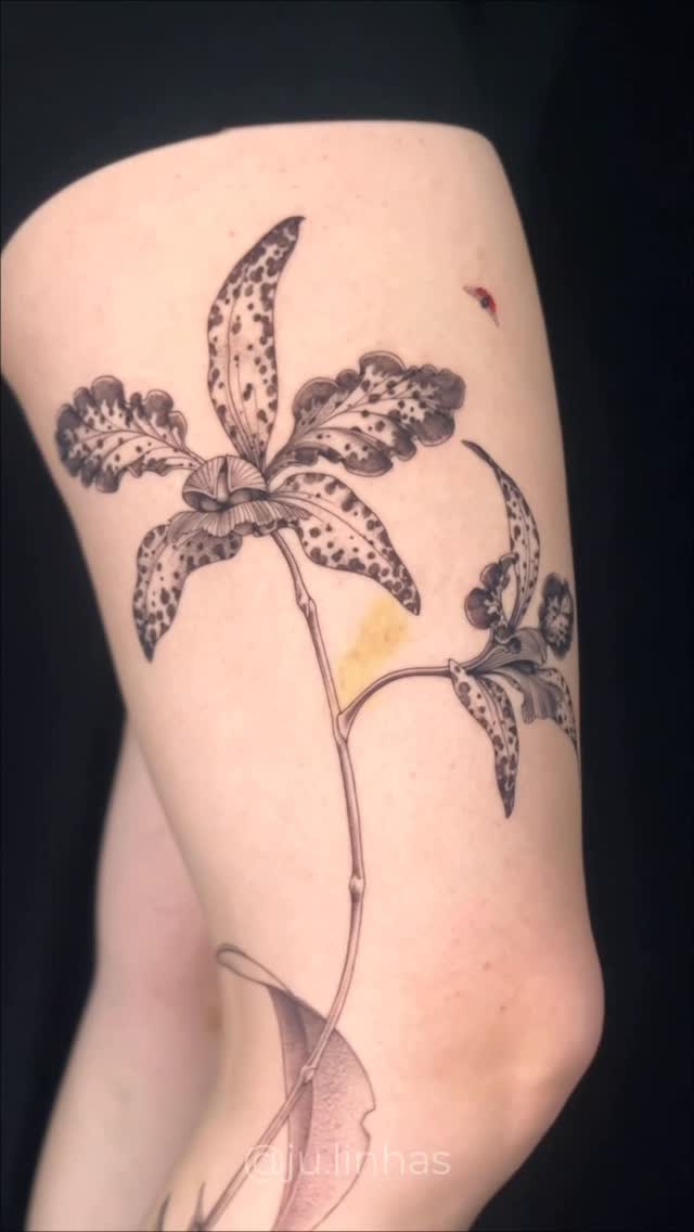 Tatuagem 3 por ju.linhas em Belo Horizonte