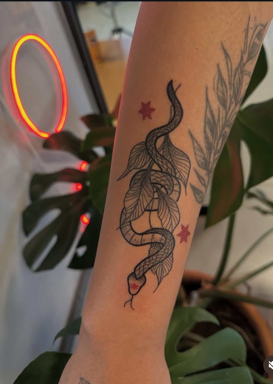 Tatuagem 2 por karolsette em Belo Horizonte