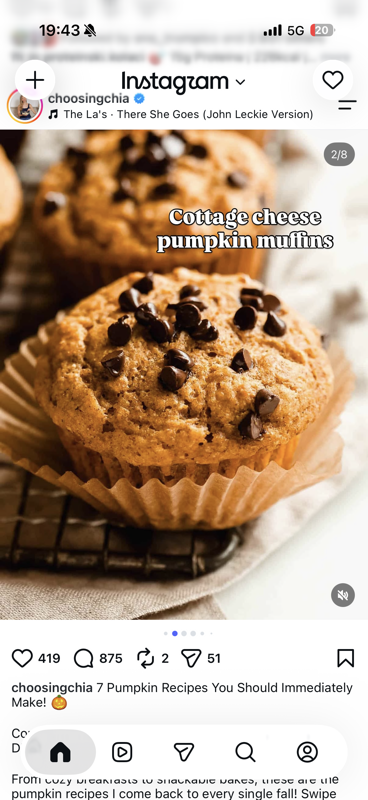 Cottage cheese pumpkin muffins