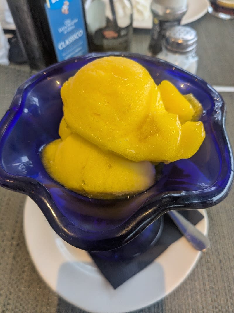Homemade mango sorbet