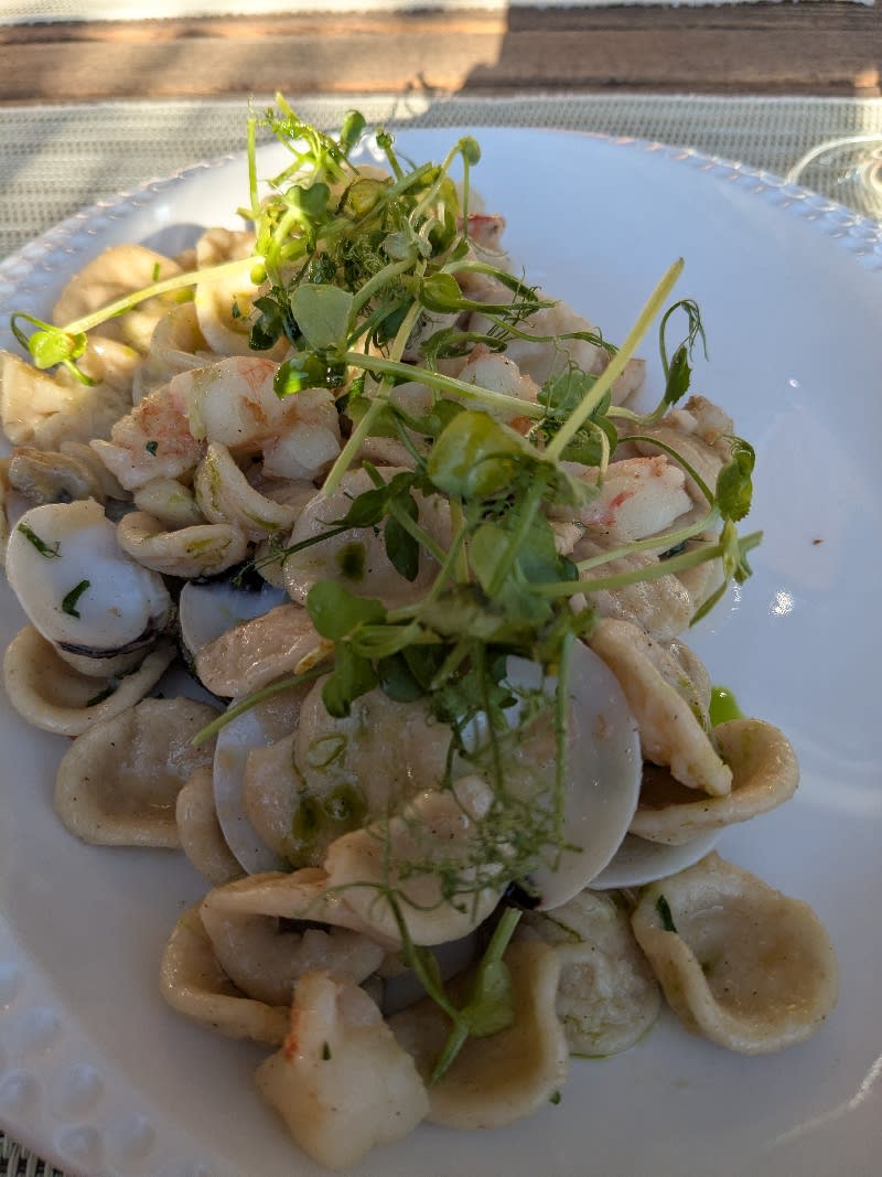 Artisanal Orecchiette with Gamberi and Baby Clams in Herb Oil