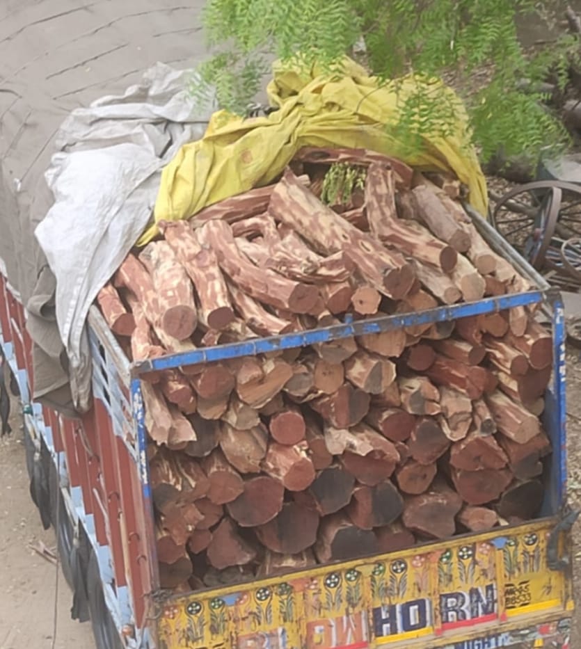 फोटो -अवैध कटान से भरा ट्रक