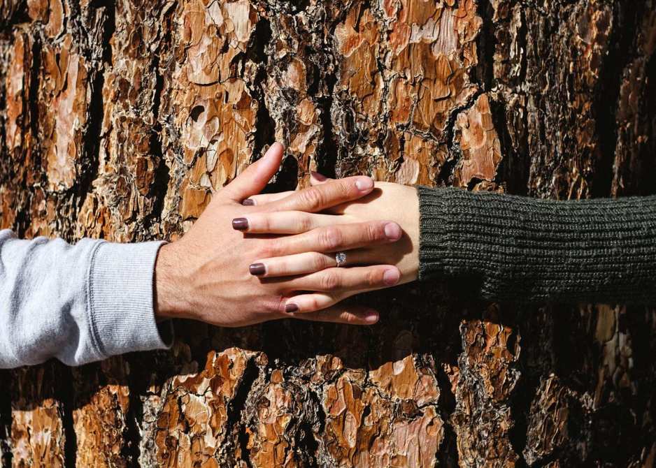 matchmaking services