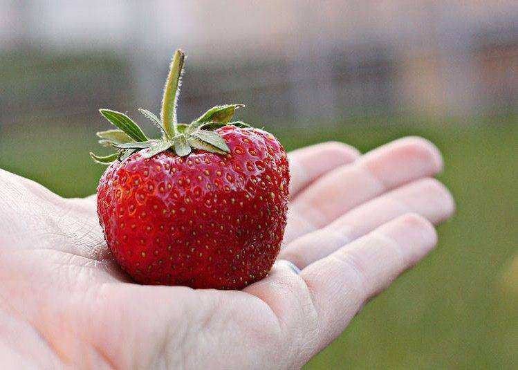 nurture relationship