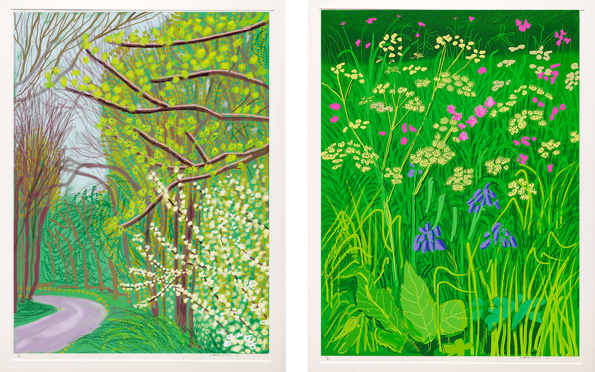 Gauche: David Hockney, L'arrivée du printemps à Woldgate, East Yorkshire en 2011, 17 mai 2011. À droite: L'arrivée du printemps à Woldgate, East Yorkshire en 2011 (vingt-onze) - 30 mai 2011. Avec l'aimable autorisation de Annely Juda Fine Art , Londres.