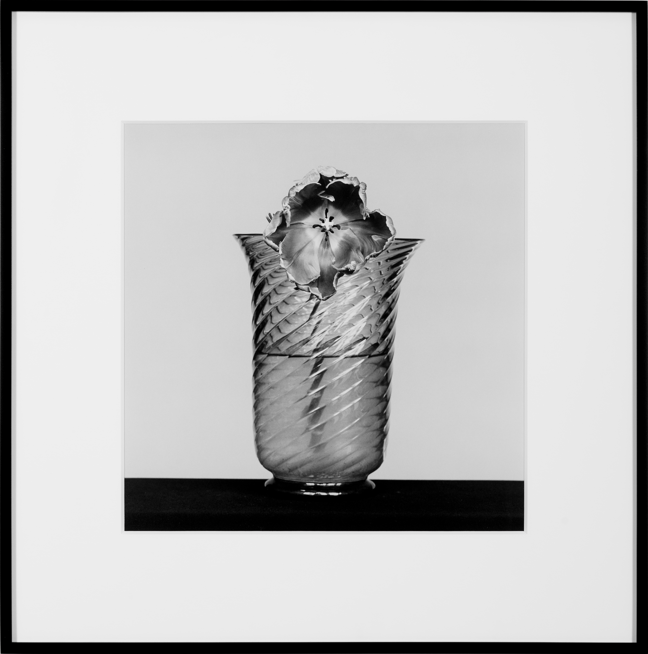 Robert Mapplethorpe | Art Basel