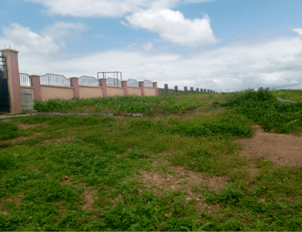 Queens Park Estate Karshi