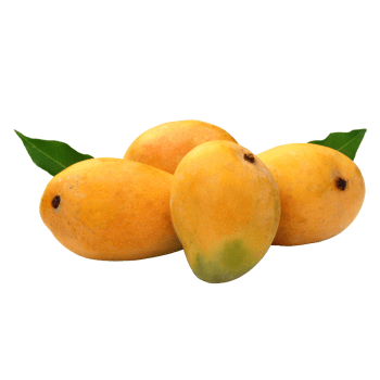 Cam Lam Mango, The Best Mango In Vietnam. Fragrant and Clean Taste, 12 Fruits/Box