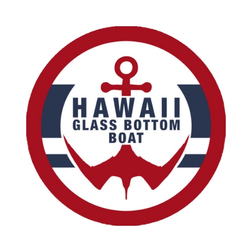 bubble-icon