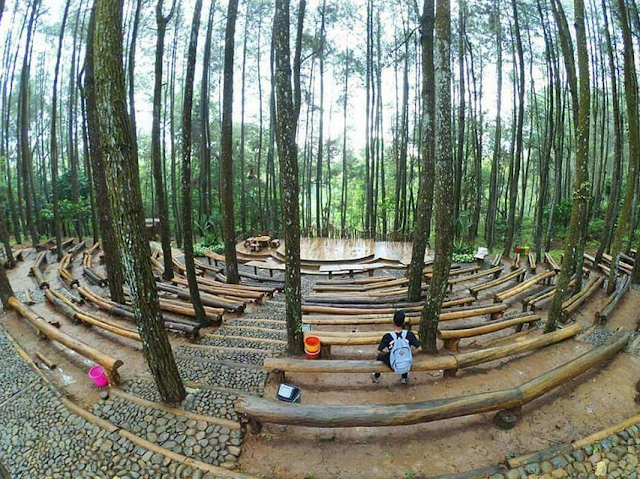  Hutan  Pinus  Mangunan Harga  Tiket  Masuk  Lokasi Hutan  