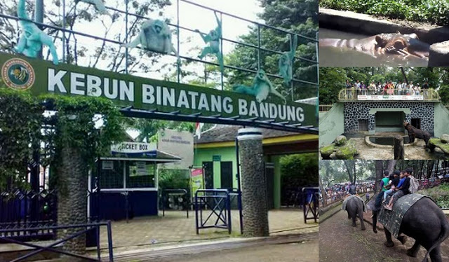 Kebun Binatang Bandung