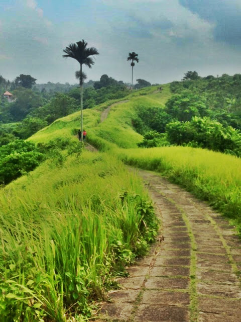 Tempat Wisata di Bali Selain Pantai yang Bagus Wajib Kamu Tahu