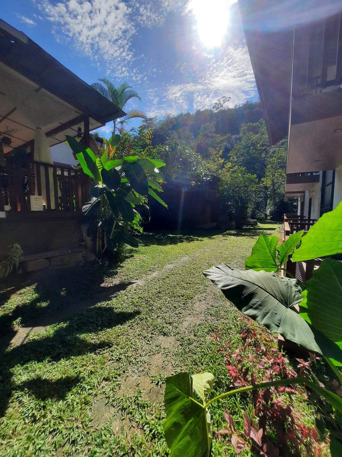 Jardín de Holzhausen, Pozuzo
