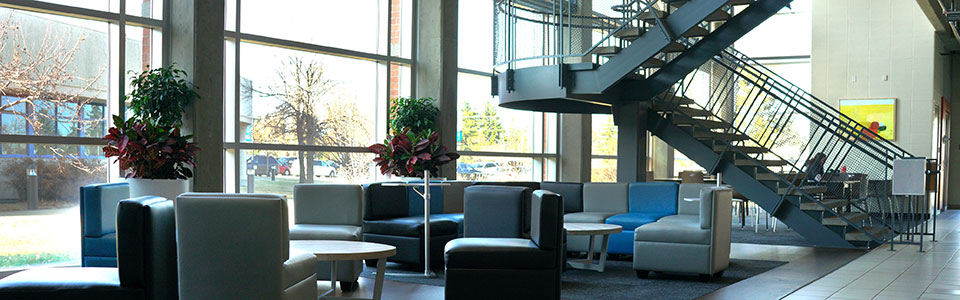The King's University