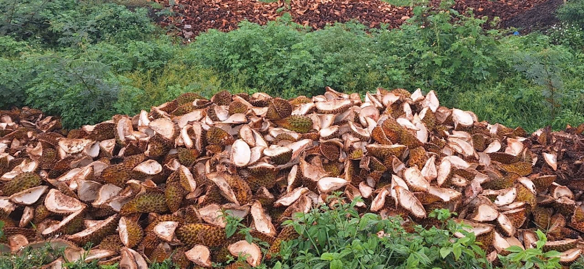 Đắk Lắk công bố đường dây nóng tiếp nhận phản ánh vi phạm pháp luật về môi trường Đắk Lắk công bố đường dây nóng tiếp nhận phản ánh vi phạm pháp luật về môi trường