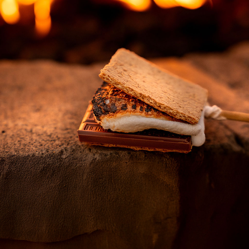 S’mores Making Experience