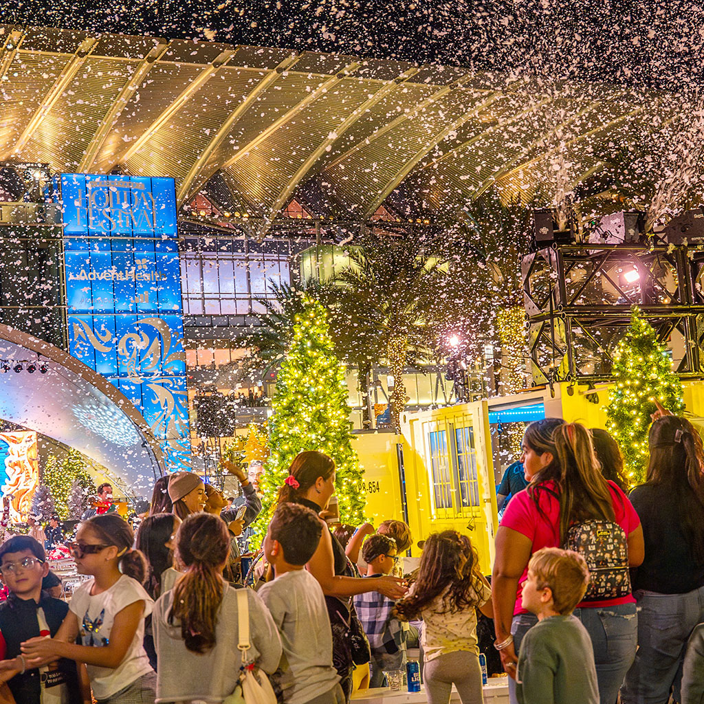 Snowfall & Holiday Activities