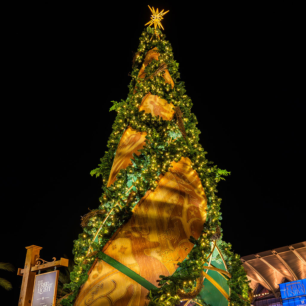 Nightly Tree Lighting