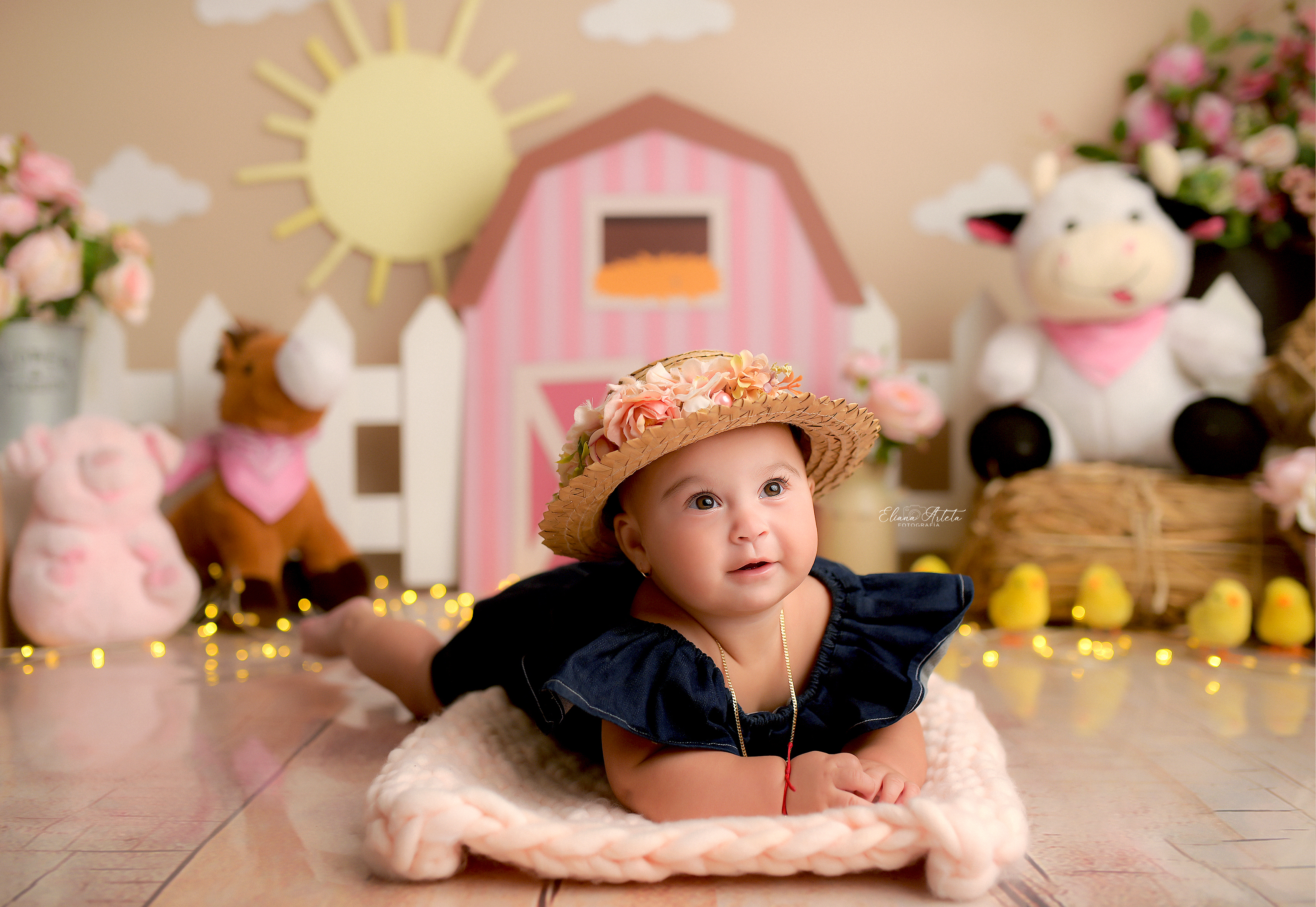 Paquete de fotografía: SESIÓN INDIVIDUAL - MES A MES