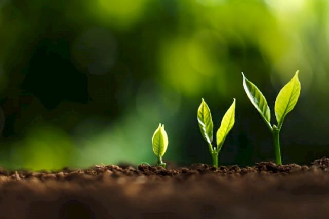 Logística sostenible y gestión ambiental responsable