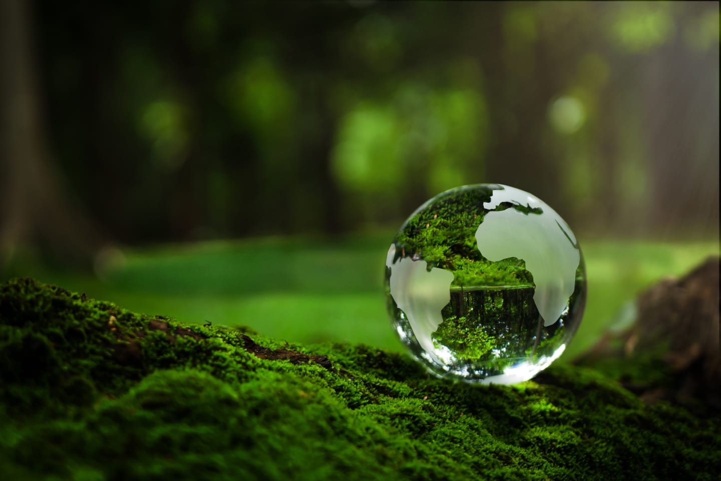 Costruire un futuro più verde: il percorso di sostenibilità di Crane Worldwide — Crane Worldwide Logistics