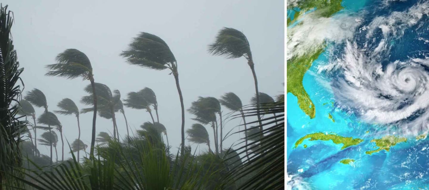 Actualización logística: Tormenta tropical Nicole — Crane Worldwide Logistics
